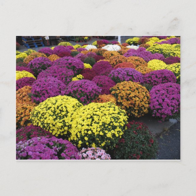 Ma Postkarte (Vorderseite)