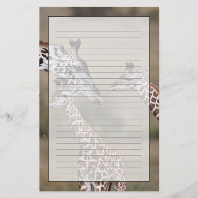 Maasai Giraffe (Giraffe Tippelskirchi) Briefpapier (Vorderseite)