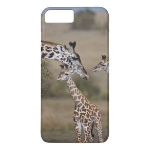 Maasai Giraffe (Giraffe Tippelskirchi) Case-Mate iPhone Hülle