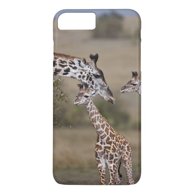 Maasai Giraffe (Giraffe Tippelskirchi) Case-Mate iPhone Hülle (Rückseite)