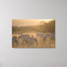 Maasai Morning Zebras Wrapped Canvas Print