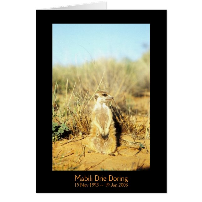 Mabili - Legenden-Karte (Vorne)