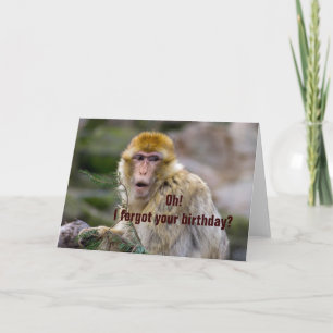 Macaca sylvanus karte