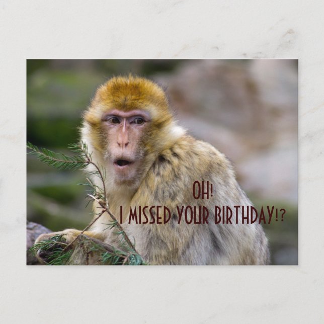 Macaca sylvanus postkarte (Vorderseite)