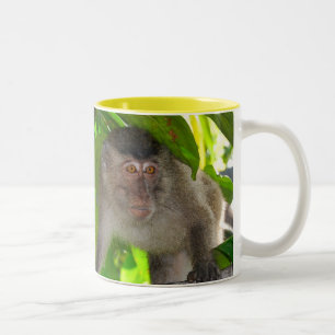 Macaque-Affe-Tasse Zweifarbige Tasse
