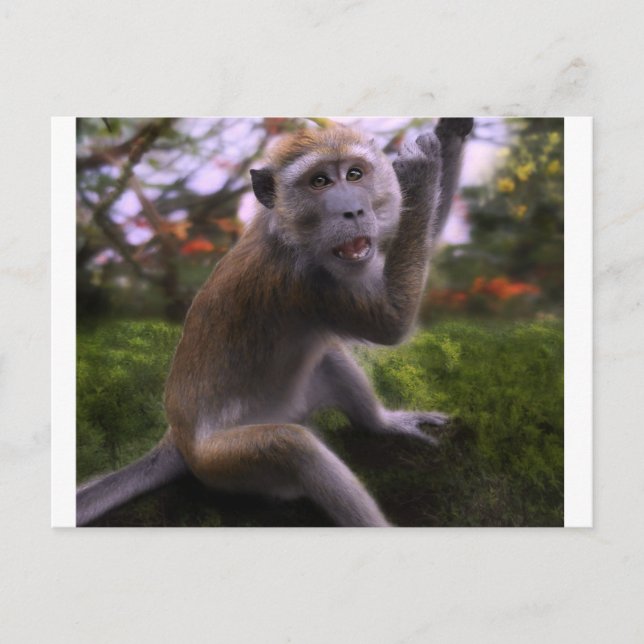 Macaque Postkarte (Vorderseite)