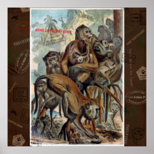 Macaques für verantwortliche Reise Poster