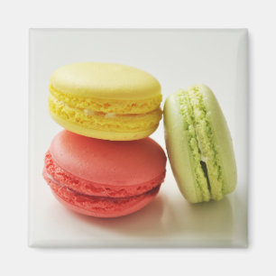 Macaroonmagnet Magnet