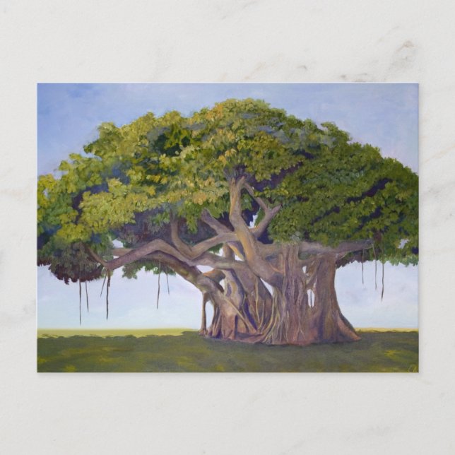 MacArthurs Bantambaum Postkarte (Vorderseite)