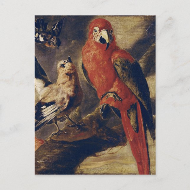 Macau und Bullfinch Postkarte (Vorderseite)