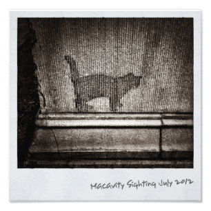 Macavitys nicht dort fotodruck