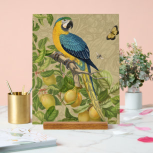 Macaw Blue Yellow Tropical Dschungel Antique Acrylschild