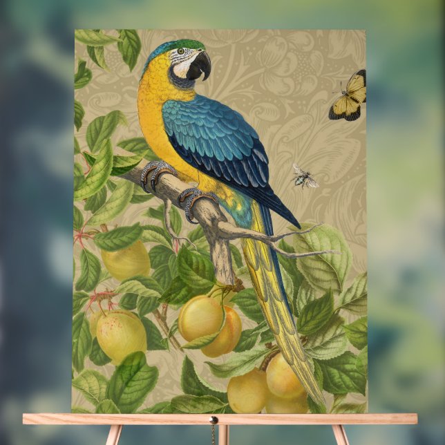 Macaw Blue Yellow Tropical Dschungel Antique Acrylschild (Neutral)
