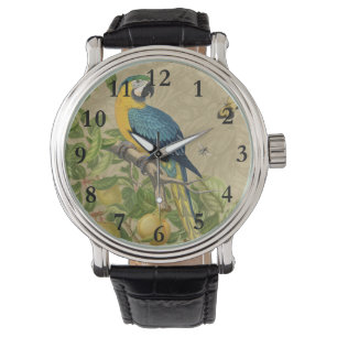 Macaw Blue Yellow Tropical Dschungel Antique Armbanduhr