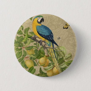 Macaw Blue Yellow Tropical Dschungel Antique Button