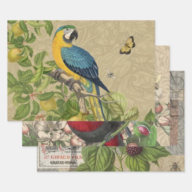 Macaw Blue Yellow Tropical Dschungel Antique Geschenkpapier Set (Set)