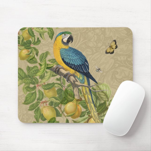 Macaw Blue Yellow Tropical Dschungel Antique Mousepad (Mit Mouse)