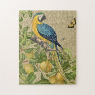 Macaw Blue Yellow Tropical Dschungel Antique Puzzle