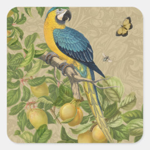 Macaw Blue Yellow Tropical Dschungel Antique Quadratischer Aufkleber