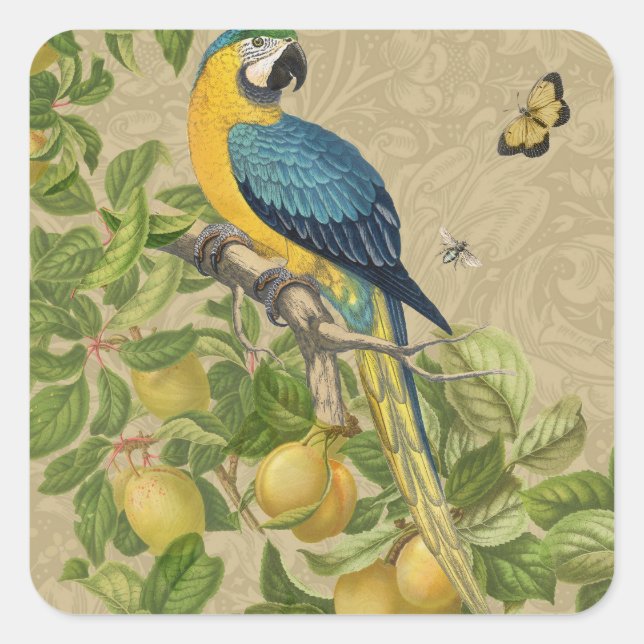 Macaw Blue Yellow Tropical Dschungel Antique Quadratischer Aufkleber (Vorderseite)