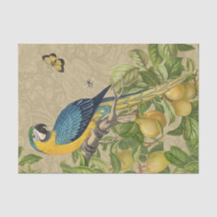 Macaw Blue Yellow Tropical Dschungel Antique Seidenpapier