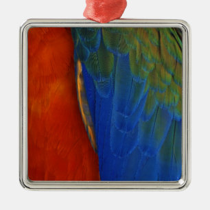 Macaw Feathers Ornament Aus Metall