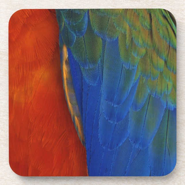 Macaw Feathers Untersetzer (Vorderseite)