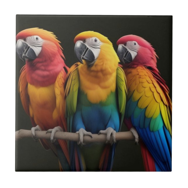 Macaw Fliese (Vorderseite)