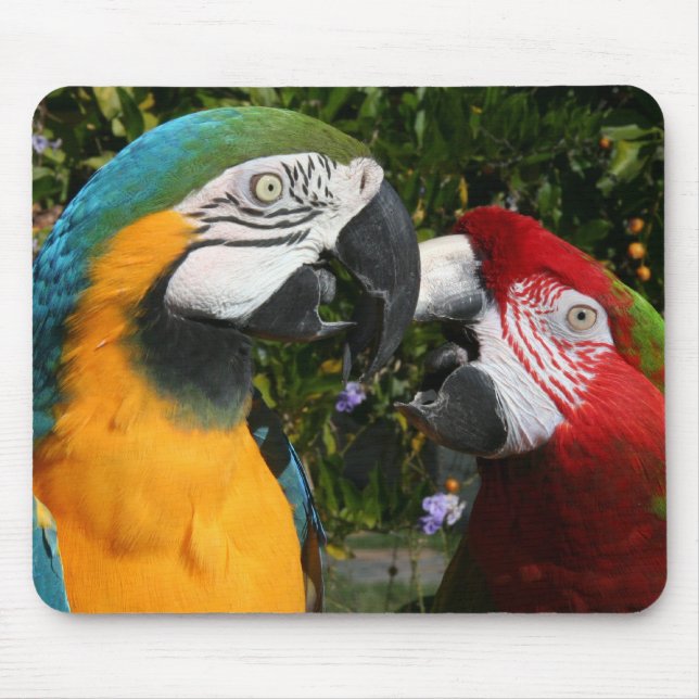 Macaw-Freunde Mousepad (Vorne)