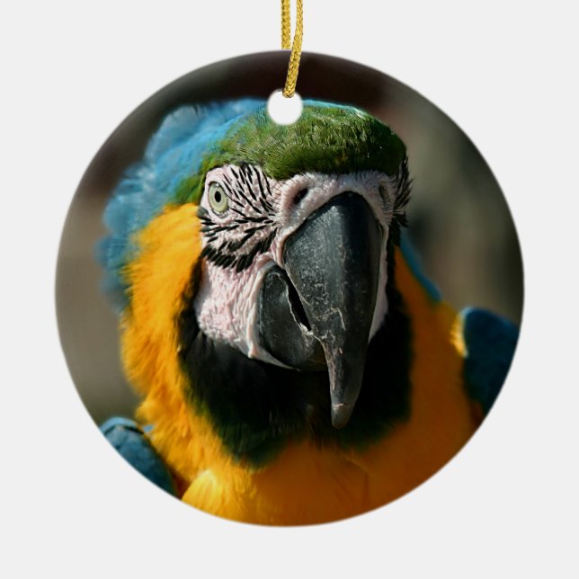 Macaw Keramik Ornament (Vorne)