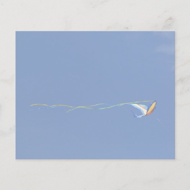 Macaw Kite (Vorderseite)