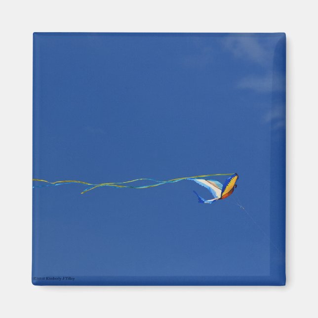 Macaw Kite Magnet (Vorne)