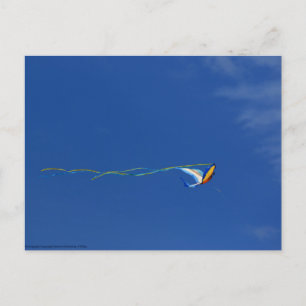 Macaw Kite Postkarte