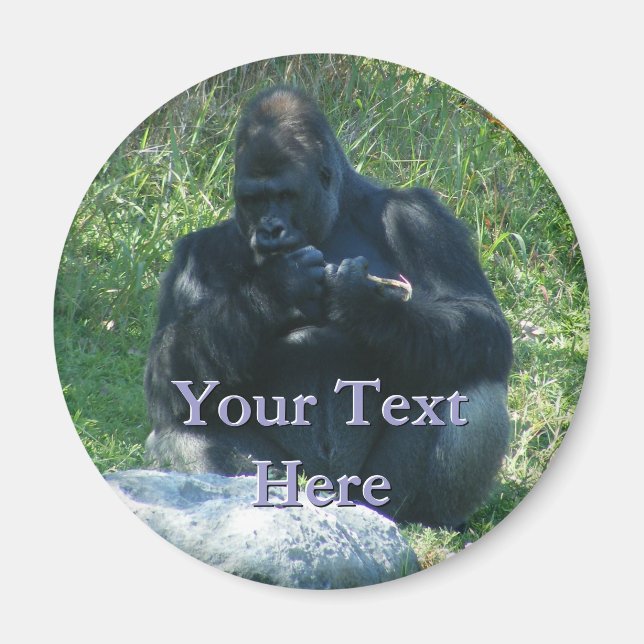 Macaw Magnet (Vorne)