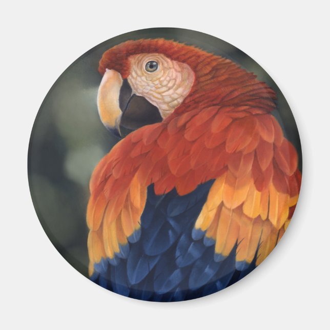 Macaw Magnet (Vorne)