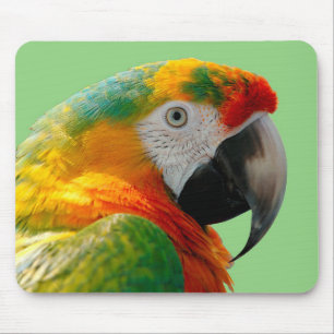 Macaw Mousepad