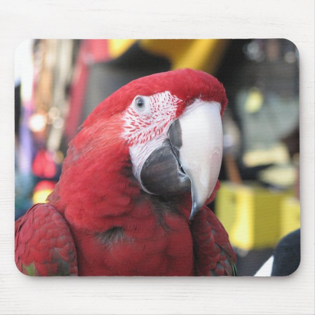 Macaw mousepad (Vorne)