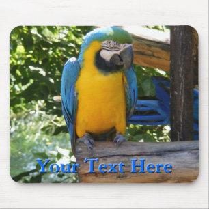 Macaw Mousepad