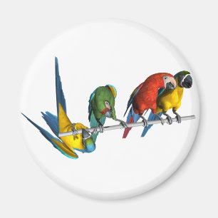 Macaw-Papagei Magnet