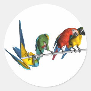 Macaw-Papagei Runder Aufkleber