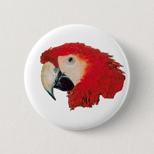 Macaw-Papageien-Abzeichen-Button Button