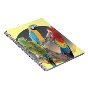 Macaw-Papageien Notizblock
