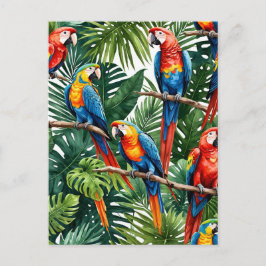 Macaw Papageien tropischen Sommerurlaub Postkarte