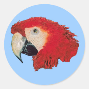 Macaw-Papageien-Vogel-Aufkleber Runder Aufkleber