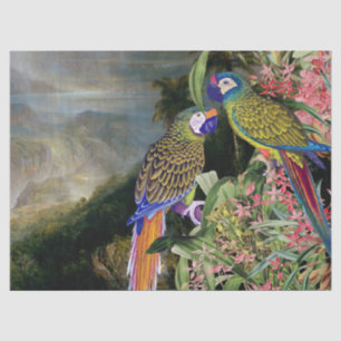 Macaw-Papageien-Vogel-Regen-Waldgewebe-Papier Seidenpapier