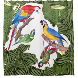 Macaw-Papageien-Vogel-Tier-Tier-Duschvorhang Duschvorhang