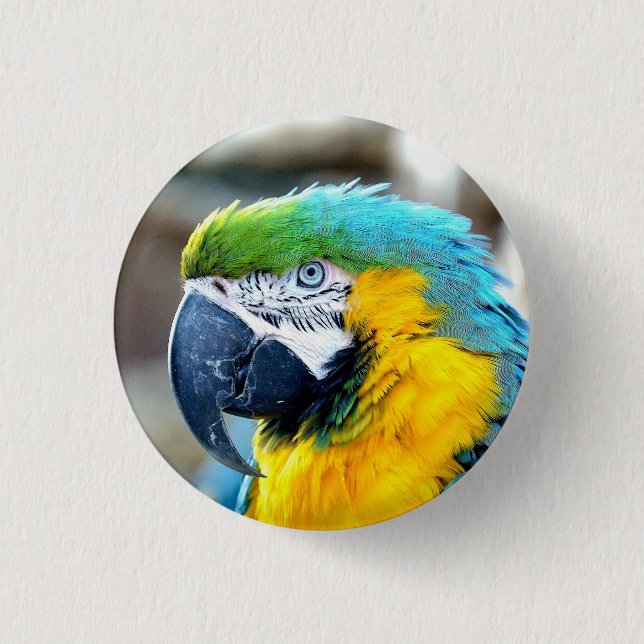 Macaw Parrot Bird farbiges Tierportrait Button (Vorderseite)