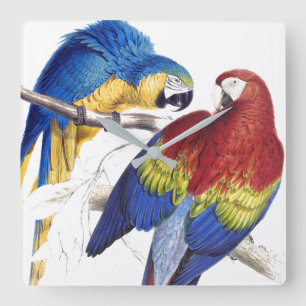 Macaw Parrot Birds Wildlife Animals Wall Clock Quadratische Wanduhr