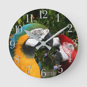 Macaw Parrot Birds Wildtiere Mauer Runde Wanduhr