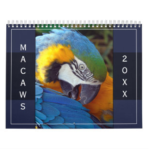 Macaw Parrot Blue Gold Scarlet Hyacinth 2024 Bird Kalender